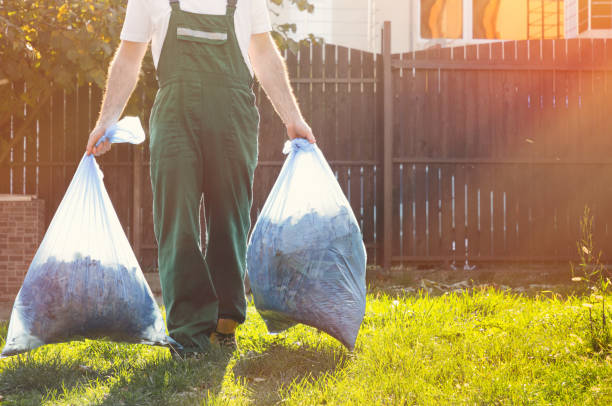 Best Electronics Removal Services  in Timberville, VA